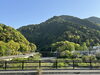 山根公園近くの山「【新入社員業務日記】そうだ、プールに行こう編　」
