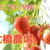 恵庭市【大橋農場】※今シーズンは終了致しました。