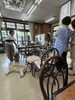 お世話になっている石屋さんと犬の真央ちゃんです「盆の入り　西船橋駅北口　アンティークDEN」