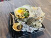 サザエ壺焼き「名物！活サザエの壺焼きとシメのサザエごはんのご紹介」
