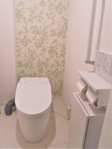 トイレ奥の一面、グリーンリーフの爽やかな壁紙で「壁紙の効果」