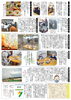 「ゆうゆう新聞2022年10月号」