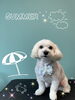 「可愛い子ちゃん♡ Dog salon mofu mofu 余市町」