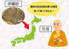 宿曜経（運命の吉凶を読み解くお経）「④　運命さえもDIY！？　まずは暦で運気予報→星に祈って人生の設計図をカスタマイズして運命を操作！　【星祭】厄除け・厄払い　～運気向上のお祈り～」