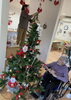 飾りつけの様子をずっと見守ってくれてた入居者様☺️「着々と、、🎄🌟🦌」