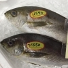 「魚魚市場鮮魚コーナーおすすめは「天然ぶり」です」