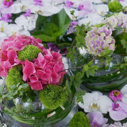 美しい紫陽花とテマリソウ、ドウダンツツジも。「第五回花手水がはじまりました。」