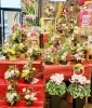 お正月アレンジメントフラワー「お正月のお花たくさんご用意しております。」