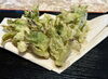 素材の旨味を活かした春の天ぷら「「朝はコーヒーだけ」で始まる一日がつらいあなたへ」