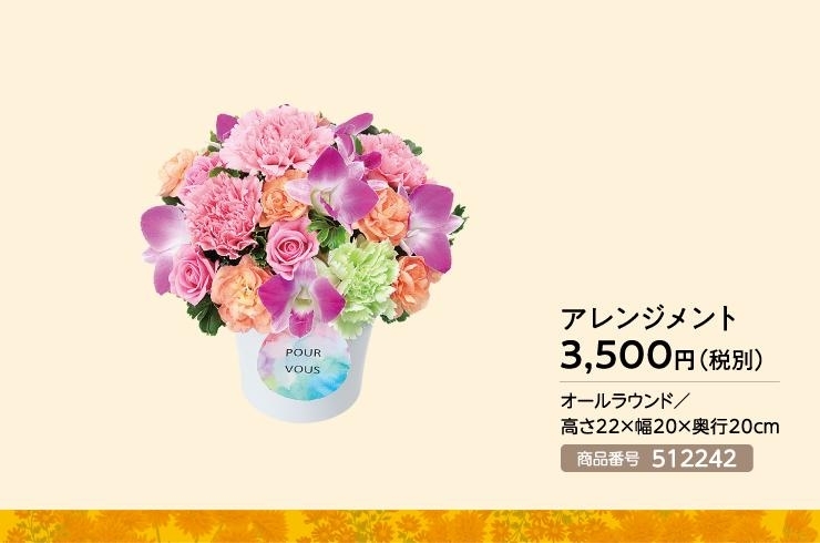 9月のオススメ 誕生花はデンファレ 花キューピット富山支部のニュース まいぷれ 魚津市