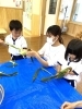 「八女で保育園をお探しの保護者様へ　食育」