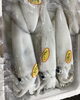「魚魚市場鮮魚コーナーおすすめは「生うに」です♪」