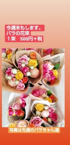週末のお買い得 小さなお花屋さんharu 陽 ハル のニュース まいぷれ 宮崎 週末のお買い得 小さなお花屋さんharu 陽 ハル のニュース まいぷれ 宮崎