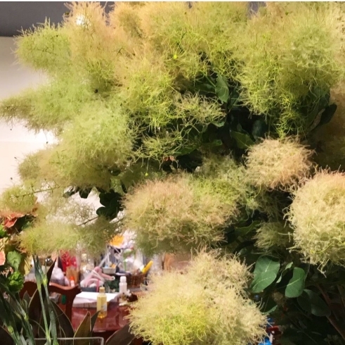 能見台のお花屋 フラワーアレンジメント教室情報 まいぷれ横浜市磯子区 金沢区 イソカナ編集部のニュース まいぷれ 横浜市磯子区 金沢区 能見台のお花屋 フラワーアレンジメント教室情報 まいぷれ横浜市磯子区 金沢区 イソカナ編集部のニュース まいぷれ 横浜市磯子区 金沢区