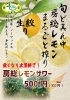 「千葉・房総の「房総レモンサワー」今年もはじまりました！」
