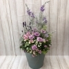 季節の寄せ植え「♬　寄せ植え　♬」