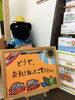 「お客様に合った保険をお選びいただけます！」