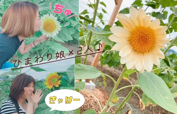 クロスケの大原野げんき畑 笑顔咲け ひまわり王国 へlet S Go 彡 西京区 大原野 まいぷれ編集部 体験白書 まいぷれ京都西京区 南区 まいぷれ 京都市西京区 南区 クロスケの大原野げんき畑 笑顔咲け ひまわり王国 へlet S Go 彡 西京区 大原野 まいぷれ編集部 体験白書 まいぷれ京都西京区 南区 まいぷれ 京都市西京区 南区