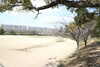 唐竹公園