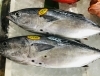 「魚魚市場鮮魚コーナーおすすめは「あゆ・ヤイト」です♪」