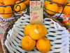 「きんかん・デコポン（不知火）入荷しています！」