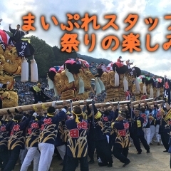 新居浜太鼓祭り2019　まいぷれスタッフの祭りの楽しみ方