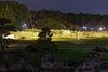 幻想的な光とひまわりの夜の庭園「葛西臨海公園のひまわり畑が見頃に！夕方ライトアップも開催中」