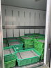 「本日のしらす漁は福良産、灘産を炊きました ・ 【キタフジ】さん、ご注文ありがとうございました」