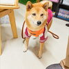 うめちゃん「今日のお友達」
