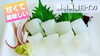 島根県産 白イカ【2人前500円(税込)】「○本日のお刺身【定置もん！島根県産白イカ】【定置もん！朝どれ！島根県産ヨコワ】」