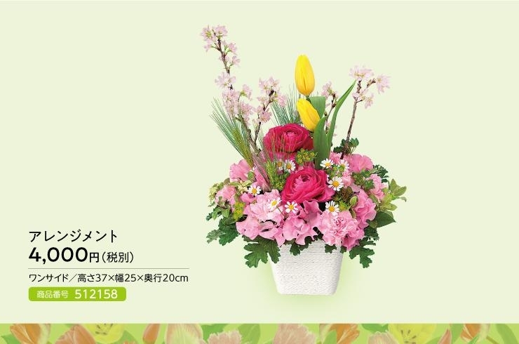 ひなまつりフラワーアレンジメント 花キューピット富山支部のニュース まいぷれ 魚津市