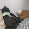 さっちゃん