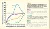 スキャモンの成長(発育)曲線。「子供の成長に合わせたトレーニングで効率よく運動しましょう! 今日は「スキャモンの成長曲線」についてお話します。」
