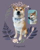 「Dog salon mofu mofu　余市町」