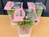 「本日入荷の促成野菜｜春色の桜草＆桜貝割で一皿を華やかに【業務用食材＊観音寺市＊食品卸売】」