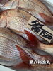 「岩牡蠣販売中です」