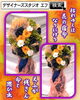 「胡蝶蘭にも負けない開店お祝いのｆの花【福山駅近くのおしゃれな花屋】」