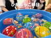 「今日の1枚📷」