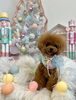 ダリくん「MerryXmas🎄」