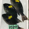 「魚魚市場鮮魚コーナーおすすめ商品は「シマアジ・クロ」です♪」
