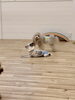 ん❓　仲良し豆太＆リズ☺️「ましゅまろ幼稚園🐾　パート２」