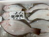 「鮮魚パックいろいろ販売中‼️〆鯖も販売致します🐳」