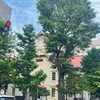 「札幌は賑わってました！」