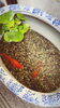 入り口の金魚も良きでした。「うなぎを食べに行ってきました。in新富町【宮崎市 LIHI 脳洗浄 筋膜リリース よもぎ蒸し 肌育】」