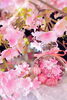 桜のパフュームボトル　￥3360-（税抜）「FLORIST愛夢の大型樹木、🌸大島桜🌸 ついに完成いたしました！」