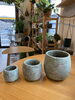 「植木鉢入荷しました」