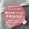 イベント大成功！「初コラボイベント大成功！！【宮崎・PARAFUSE.・脳洗浄®︎・宮崎よもぎ蒸し・冷え・LIHI】」