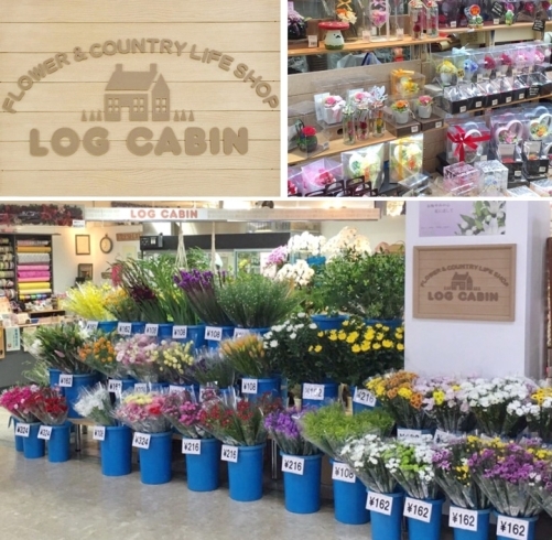 「FLOWER & COUNTRY LIFE SHOP LOG CABIN（コスモ21）」生活の一部に花を♪　入善SCコスモ21の花キューピット店