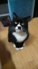「こんにちは」