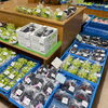 「信州ぶどう豊富に入荷します！道の駅木曽福島」